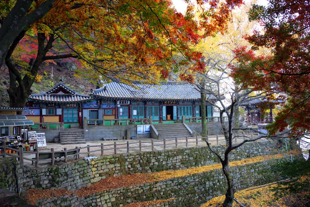 고란사